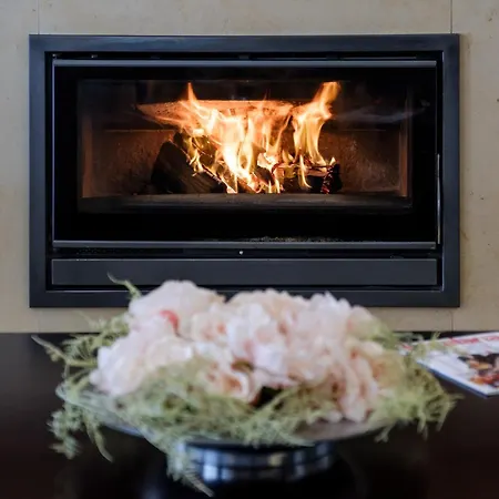 酒店 雷吉纳酒店 4*