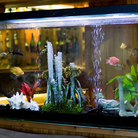 雷吉纳酒店 酒店 4*