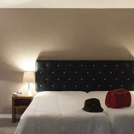 酒店 雷吉纳酒店 4*